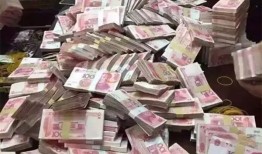 飞贷额度发放攻略与高效申请技巧解析